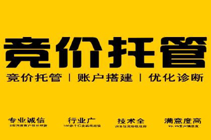 SEM推广代运营案例深度剖析